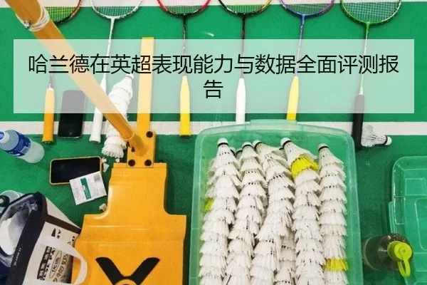 哈兰德在英超表现能力与数据全面评测报告
