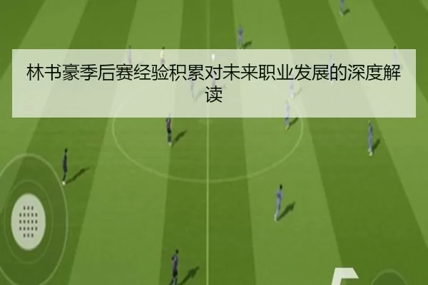 林书豪季后赛经验积累对未来职业发展的深度解读