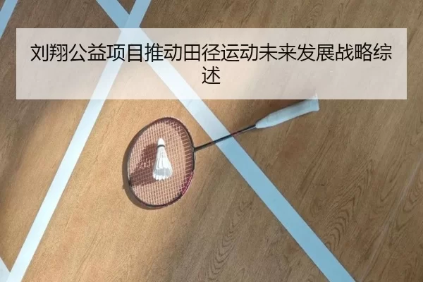 刘翔公益项目推动田径运动未来发展战略综述